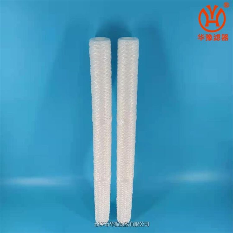 定子冷卻水濾芯WFF-125-1