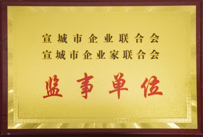 宣城市企業(yè)聯(lián)合會、聯(lián)合會監(jiān)事單位